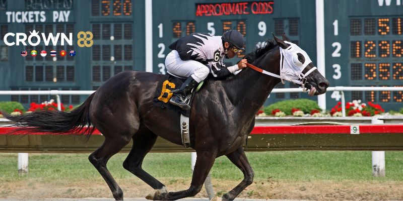 Anh em cược thủ lưu ý không nên chạy theo kèo dụ của nhà cái